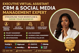 executive personal gohighlevel virtual assistant social media admin hubspot data