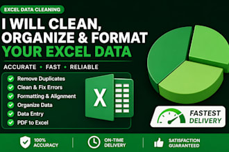 clean, organize, and format your microsoft excel data