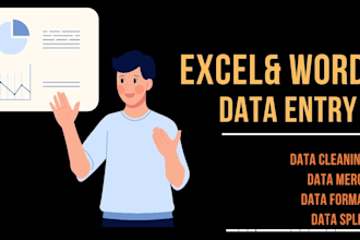 cleaning,format,split excel data  and words data