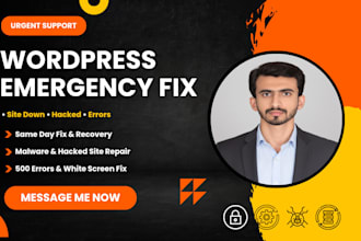 do urgent wordpress fix, emergency error and site down repair