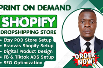 set up professional shopify print on demand dropshipping store with printify