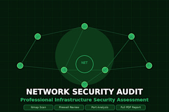 audit your network security and deliver a professional report