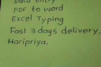 do data entry typing PDF to word excel work
