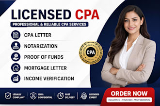 do accounting, US tax return, bookkeeping, finance and audit as senior auditor