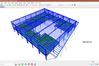 do structural analysis and steel design in sap2000