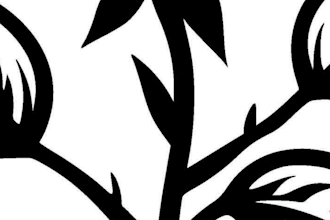 design blackwork tattoo illustration