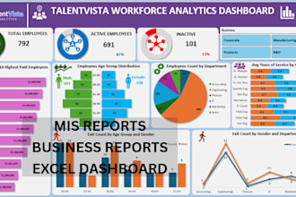 create excel mis reports and KPI reports