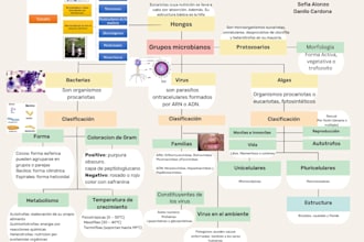 create professional medical presentations for students