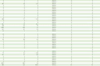 do data entry and excel services