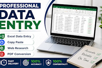 professional data entry, excel data entry,
