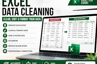 do excel data cleaning, formatting, merge and data organization