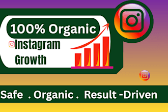 be your instagram marketing manager for organic growth