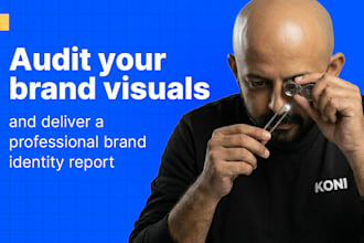 audit your brand visuals and deliver a professional brand identity report