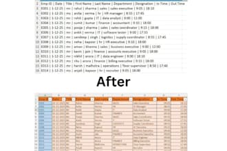 organize clean and format your excel spreadsheets
