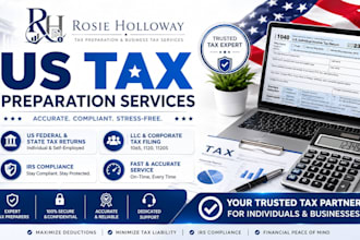 l prepare and file US federal, state, llc, and corporate tax returns