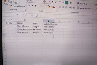 do professional data entry and excel copy paste work