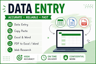 do accurate excel data entry, copy paste, PDF to excel and web research