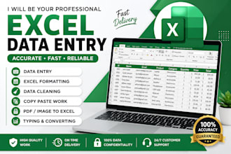 do microsoft excel data entry, formatting, and spreadsheet tasks