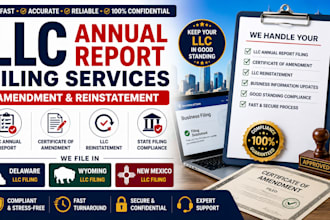 file delaware, wyoming and new mexico llc annual report, boi report filling fast