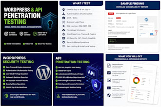do wordpress and api penetration testing