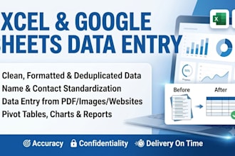 do data entry, data cleaning, data transformation, and data mining