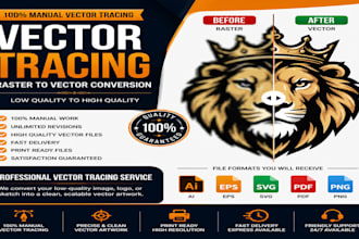 do vector tracing or convert to vector quickly