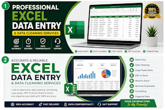 microsoft excel , data entry