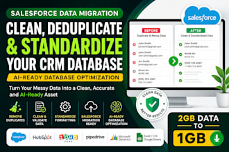 clean deduplicate standardize and optimize your CRM database for salesforce