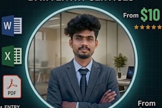 do professional data entry excel and translation work
