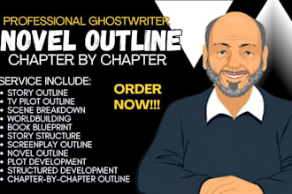 create a professional chapter by chapter novel outline
