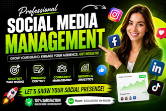 be your professional social media manager for instagram, facebook, and linkedin