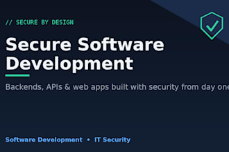develop a secure backend, API or web application for you