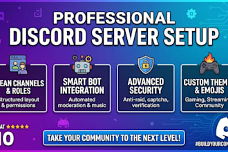 build and setup a professional discord server