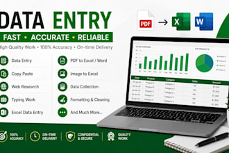 do accurate data entry, excel, tally , and copy paste work