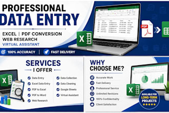 do professional data entry, excel data cleaning