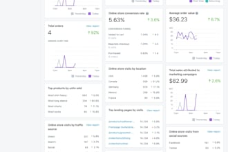 do shopify store setup and digital marketing for your store