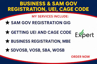 do sam gov registration, uei, and cage code setup