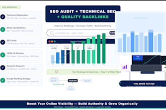 do complete finnish SEO audit, and high quality backlink building