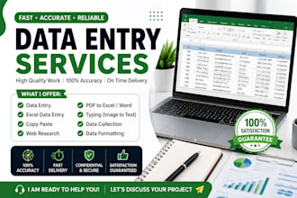 do accurate data entry, copy paste, and excel data entry