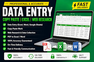 do professional data entry, copy paste, PDF to word and exc