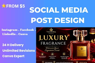 design modern social media posts for your business and brand