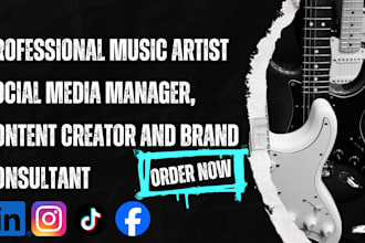 professional music artist social media manager, content creator and brand consul
