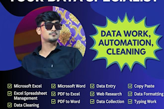 do accurate data entry, excel, copy paste and typing