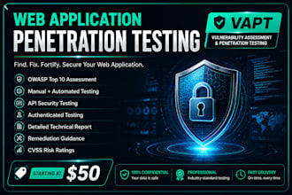perform professional web application penetration testing