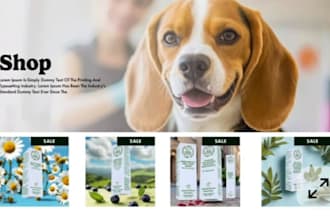 build pet store pet website shopify store pet shopify store shopify dropshipping