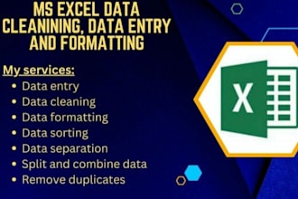 ms excel data entry ,data cleaning , merging ,split