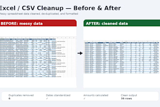 clean, organize and format your excel or CSV data