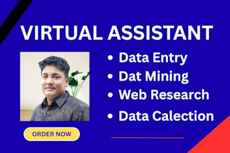 data entry virtual assistant and web scraping with copypaste