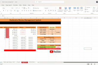 accurate excel data entry