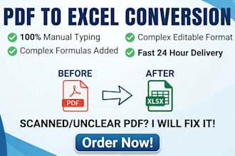 manually convert PDF to excel with complex formulas in 24 hrs